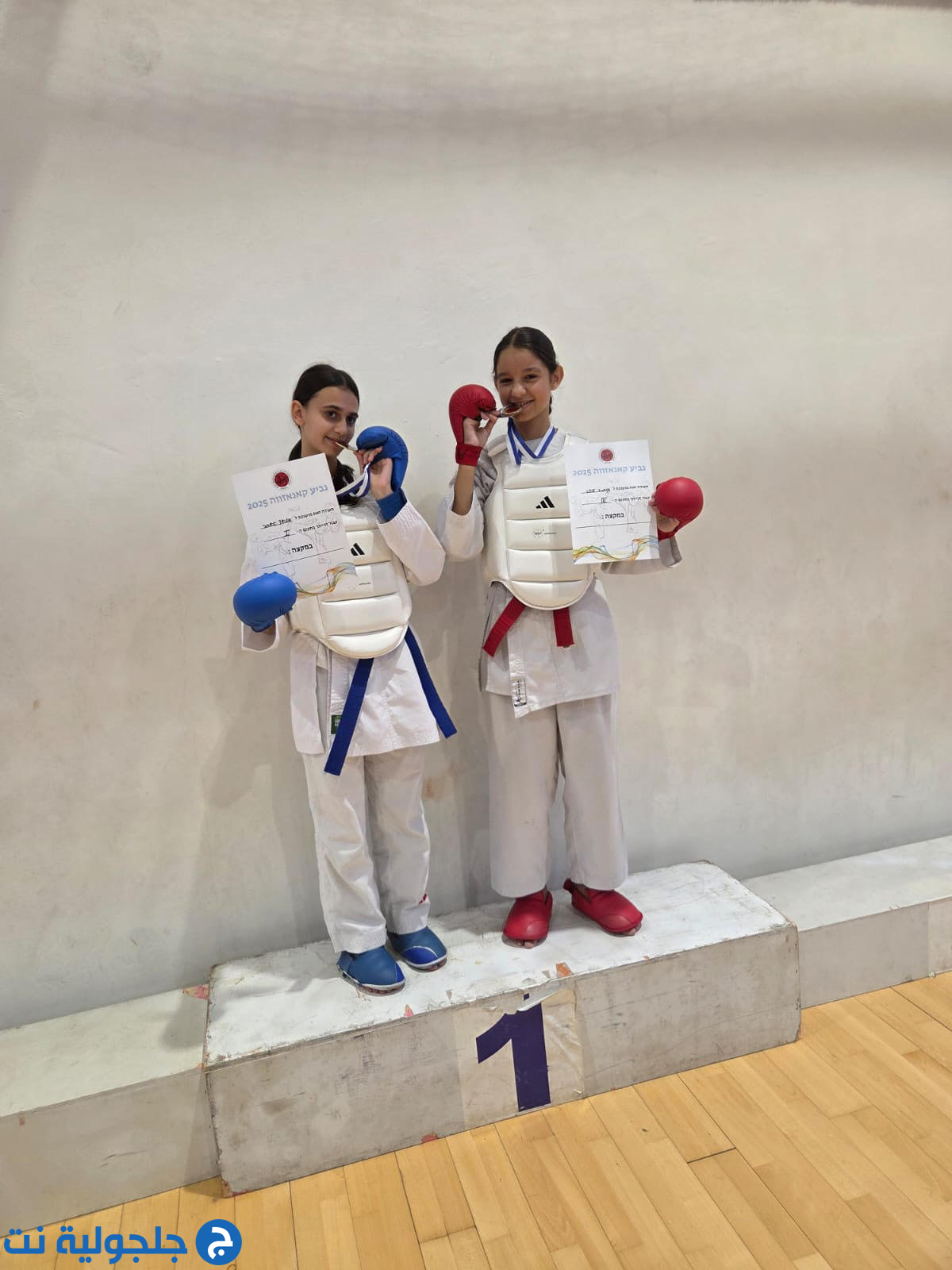 أبطال مدرسة حسني عرار للكراتيه وفنون القتال يحصدون الذهب في بطولة كأس كانيزاوا القطرية – حيفا 